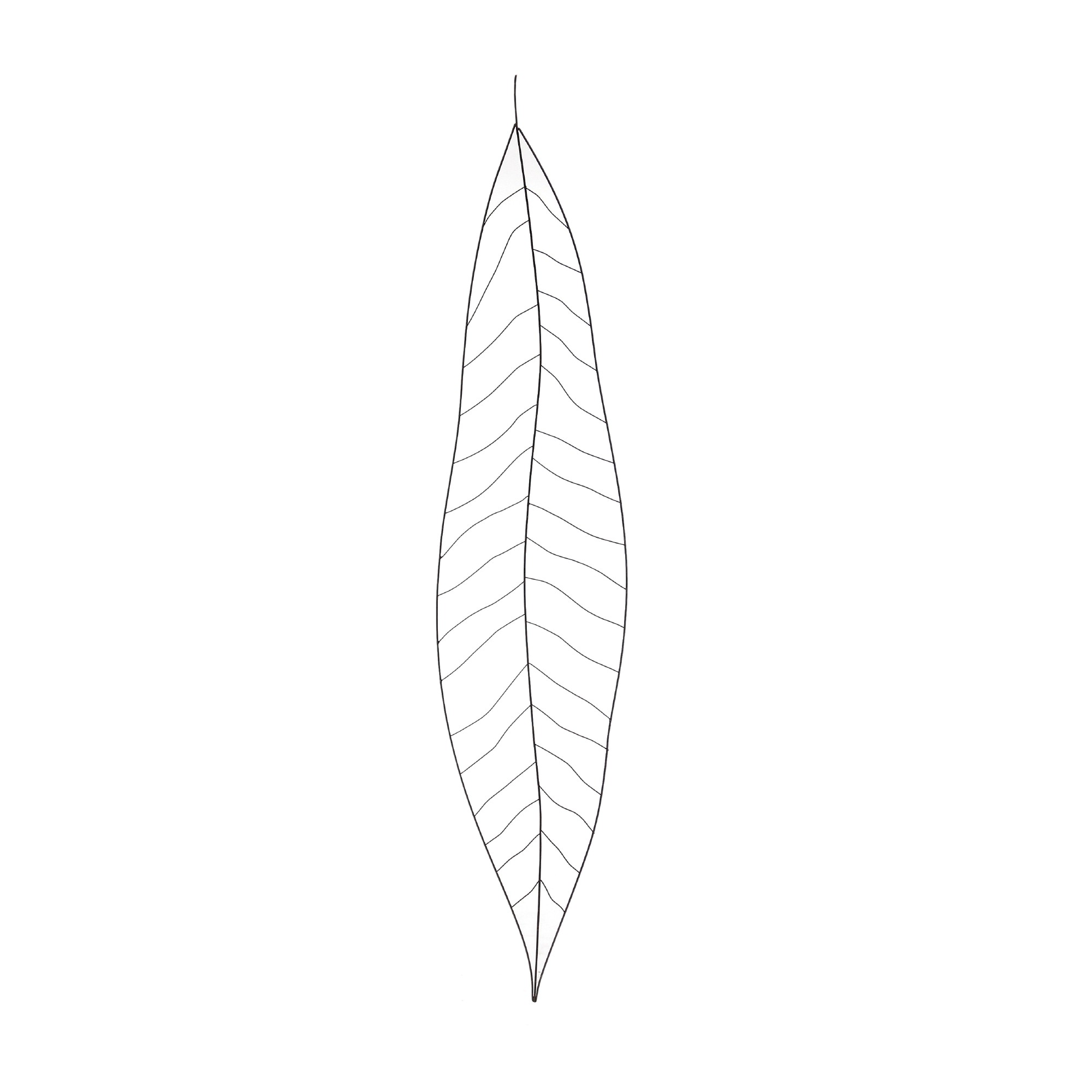 Wanddeko 'Palmenblatt', aus Draht, H 150 cm, B 32 cm günstig bestellen