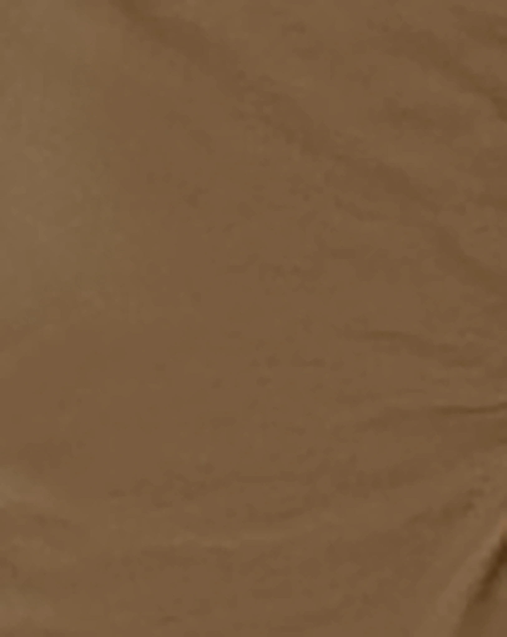 Cargohose NKMRYAN 2222-BA in kangaroo