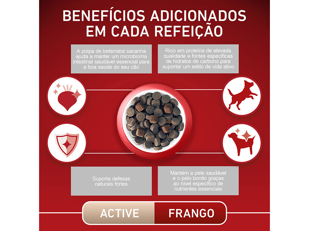 RAÇÃO PARA CÃO PURINA ONE MINI ACTIVE COM FRANGO 800G
