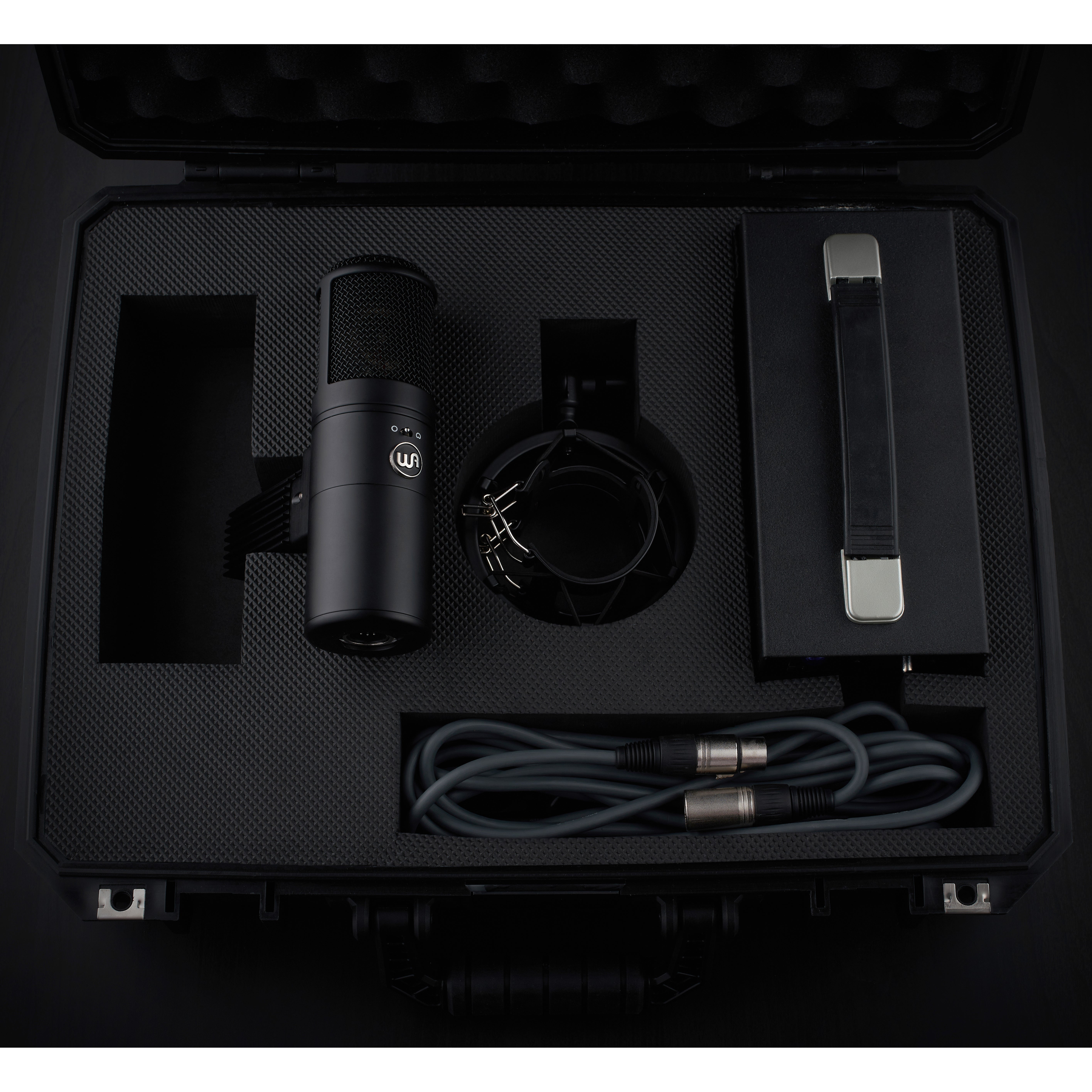 Warm Audio WA-8000 grootmembraan buizen condensatormicrofoon