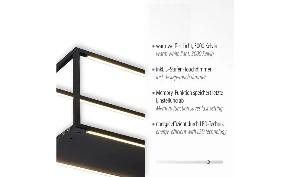 Paul Neuhaus LED Pendelleuchte