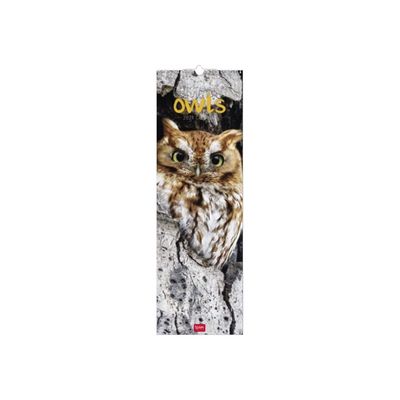 Calendrier mensuel 2024 - 16 x 49 cm - outstanding owls