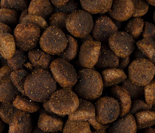 Carnilove Trockenfutter für Katzen Large
