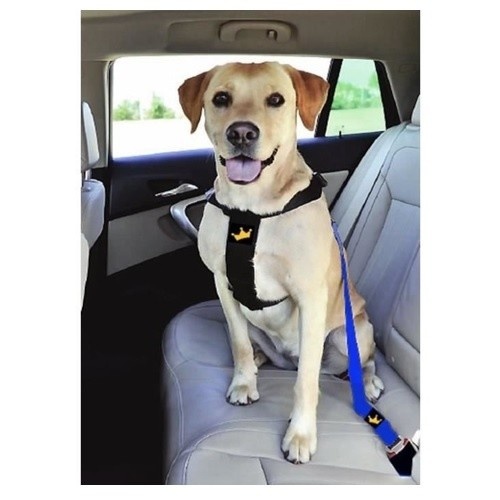 Arnês de segurança para cães da Animals&Car