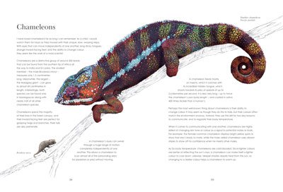 Hidden Planet: An Illustrator's Love Letter to Planet Earth (Paperback)