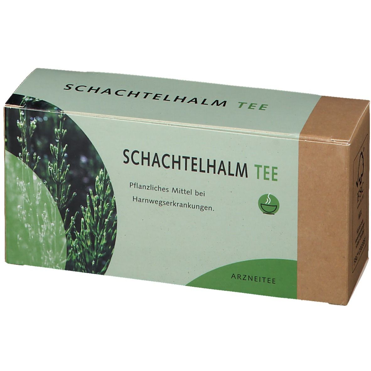 Schachtelhalmtee