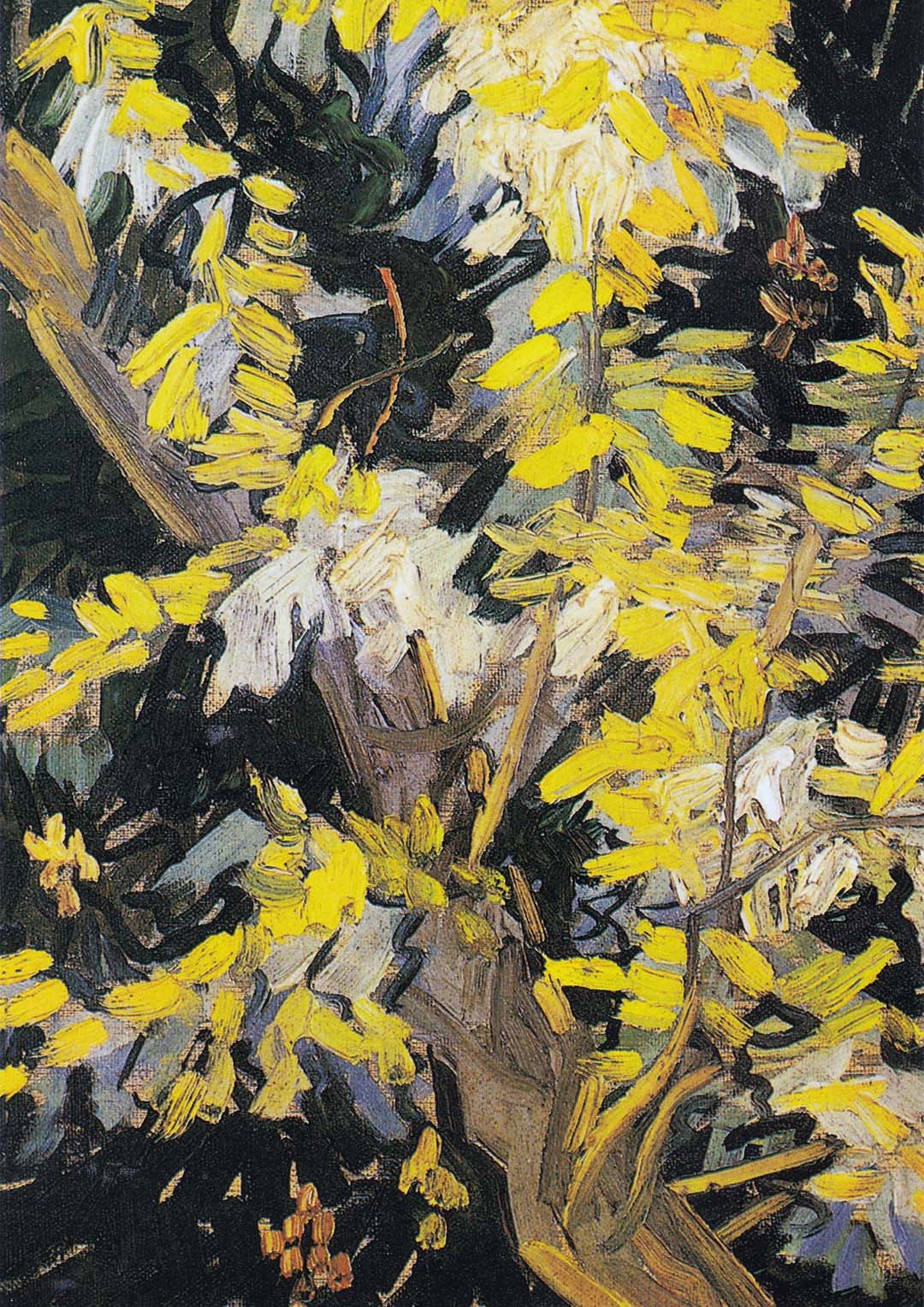 Blühende Akazienzweige von Van Gogh