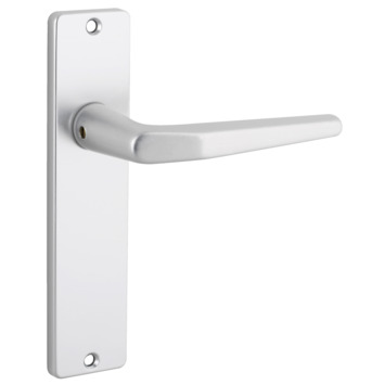 Insteekslot loopslot met aluminium slotplaat incl. kruk Doorn 50mm