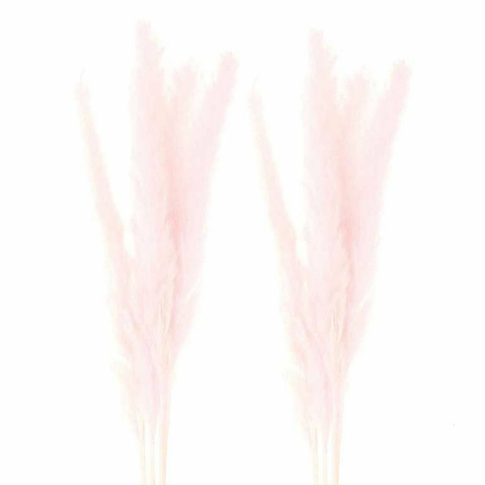 2 bouquets d'herbes de palma séchées rose - 70 cm