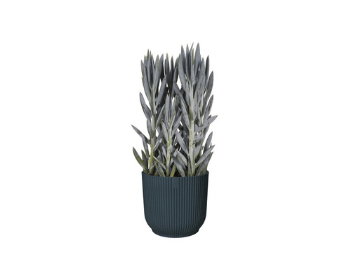 elho Vibes fold ronde mini plantenbak, kunststof, Ø 11,1 cm, H 10,5 cm, blauw