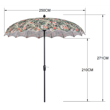 Parasol Madagascar