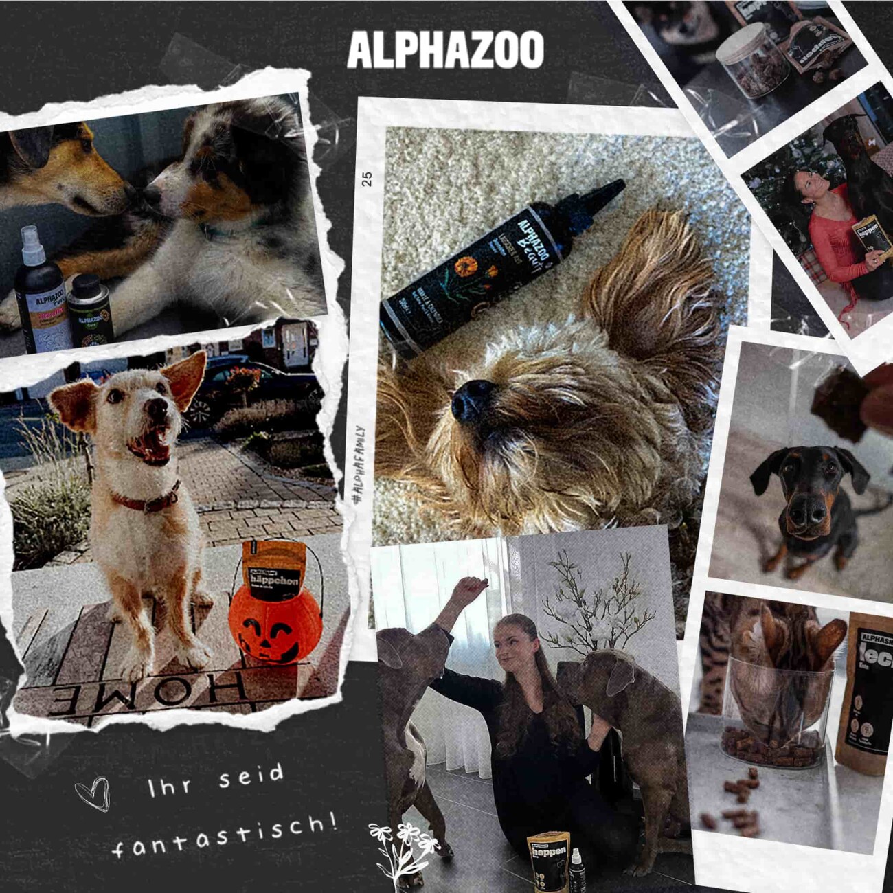 ALPHAZOO ByeByeVloh Flohmittel für Hunde I Starkes Anti Flohspray 100 ml