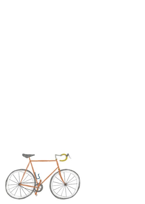 TMS | Verjaardagskaart | Fiets