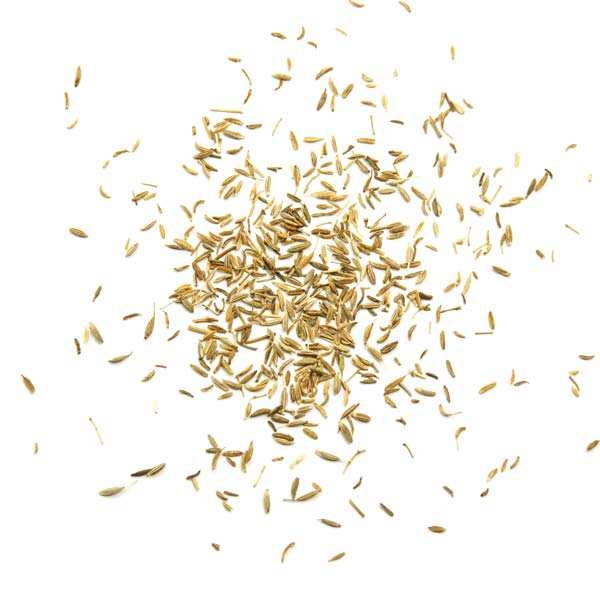 Cumin en graines Terre Exotique