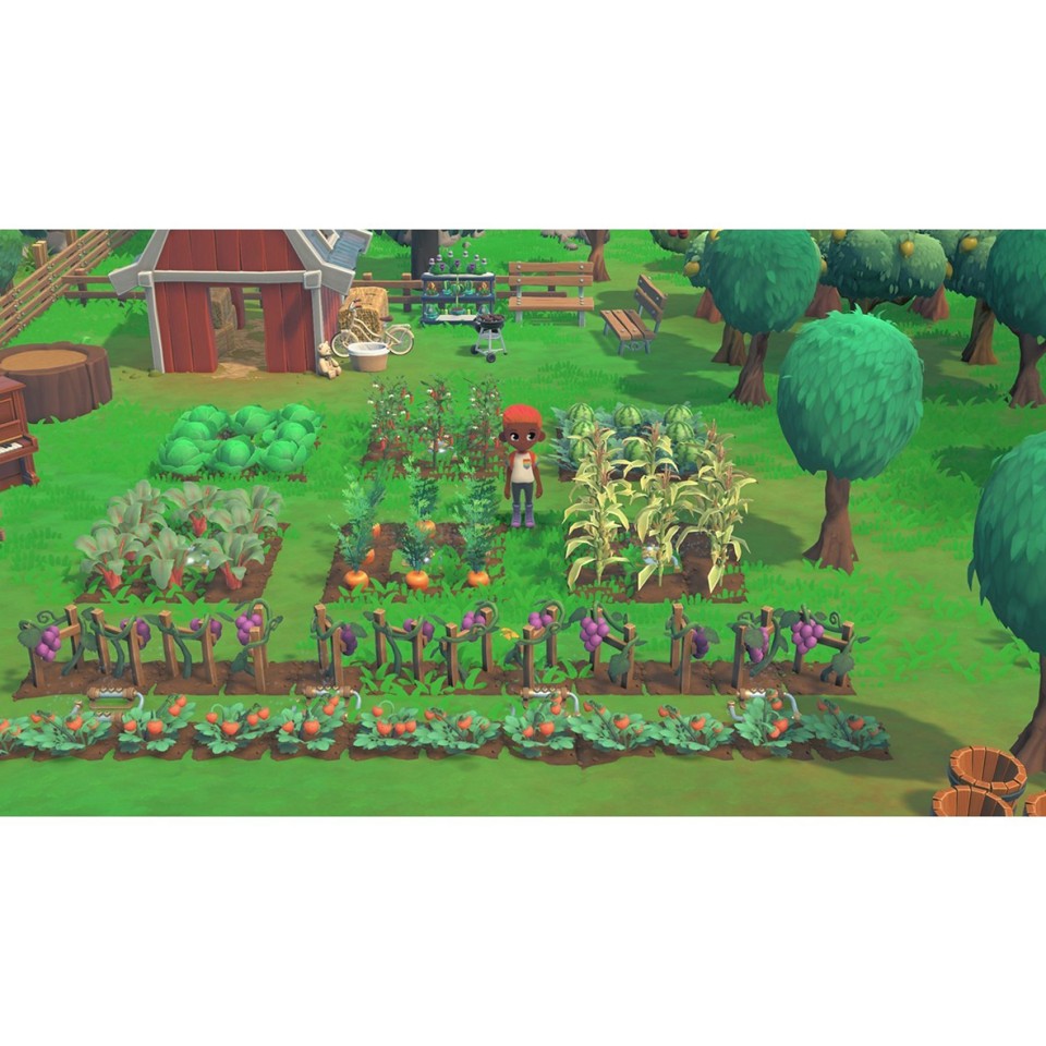Hokko Life- PlayStation 4