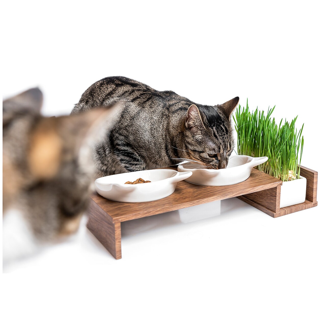 Canadian Cat Company Futterbar Cat Diner braun/ beige