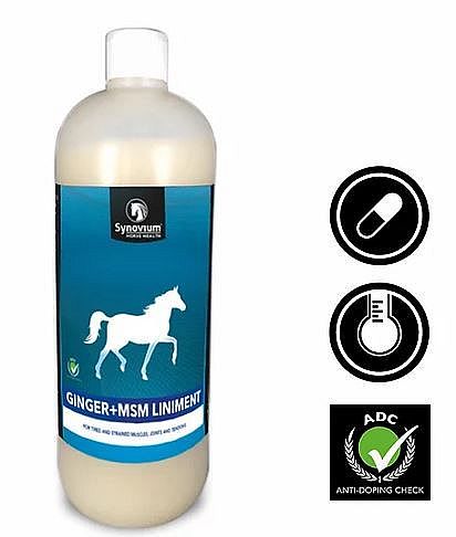 Synovium Ginger + MSM Liniment 250 ml