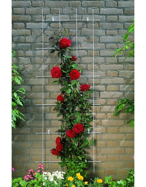 Nature Metalen Klimrek Groen - Klim-En Geleide Artikel