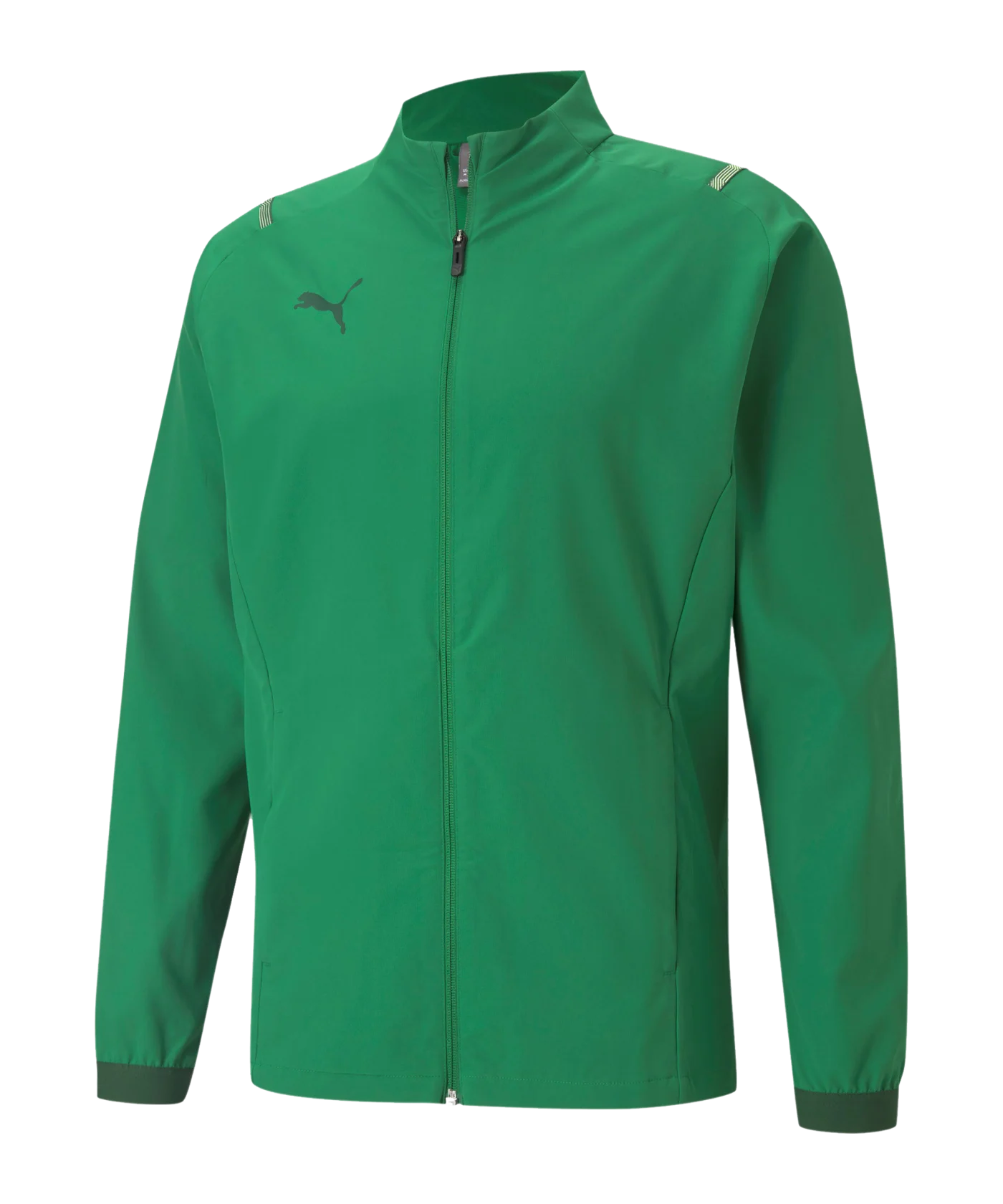 PUMA teamCUP Sideline Trainingsjacke Grün F05