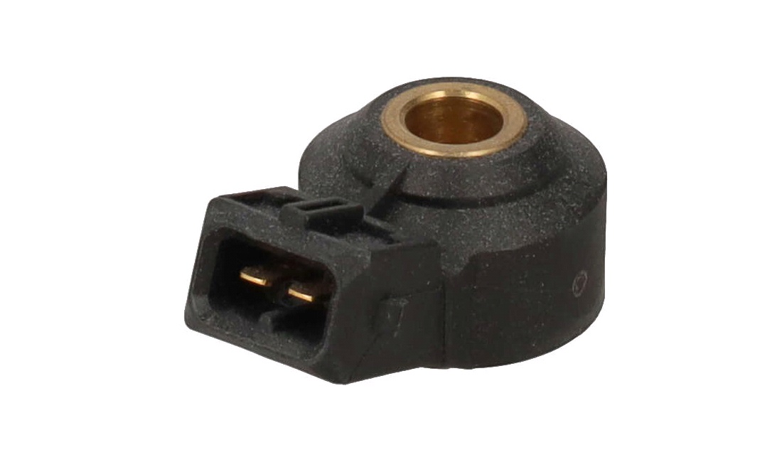 Bankesensor