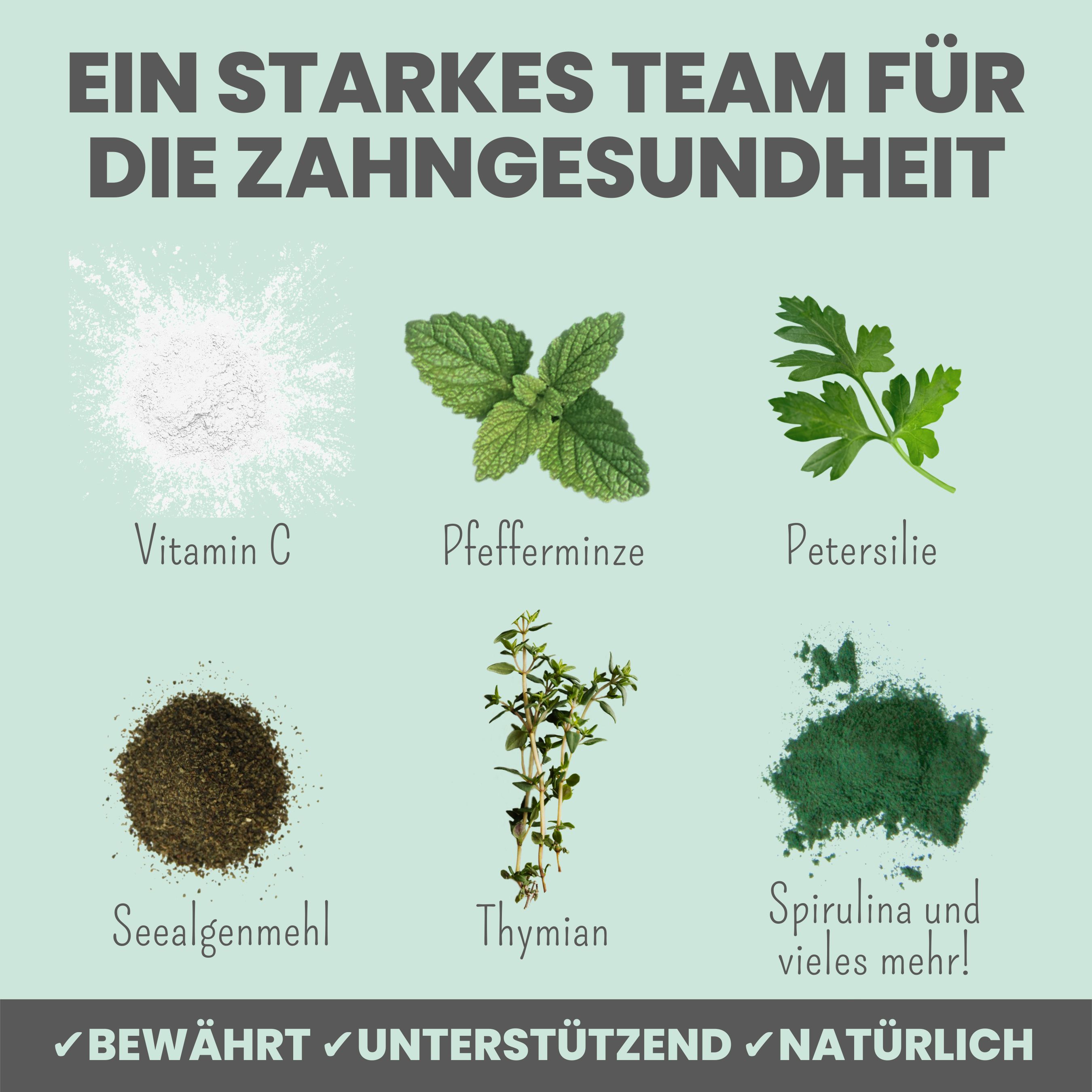 noms+ Dentalmix für Hunde zur Zahnpflege und für frischen Atem