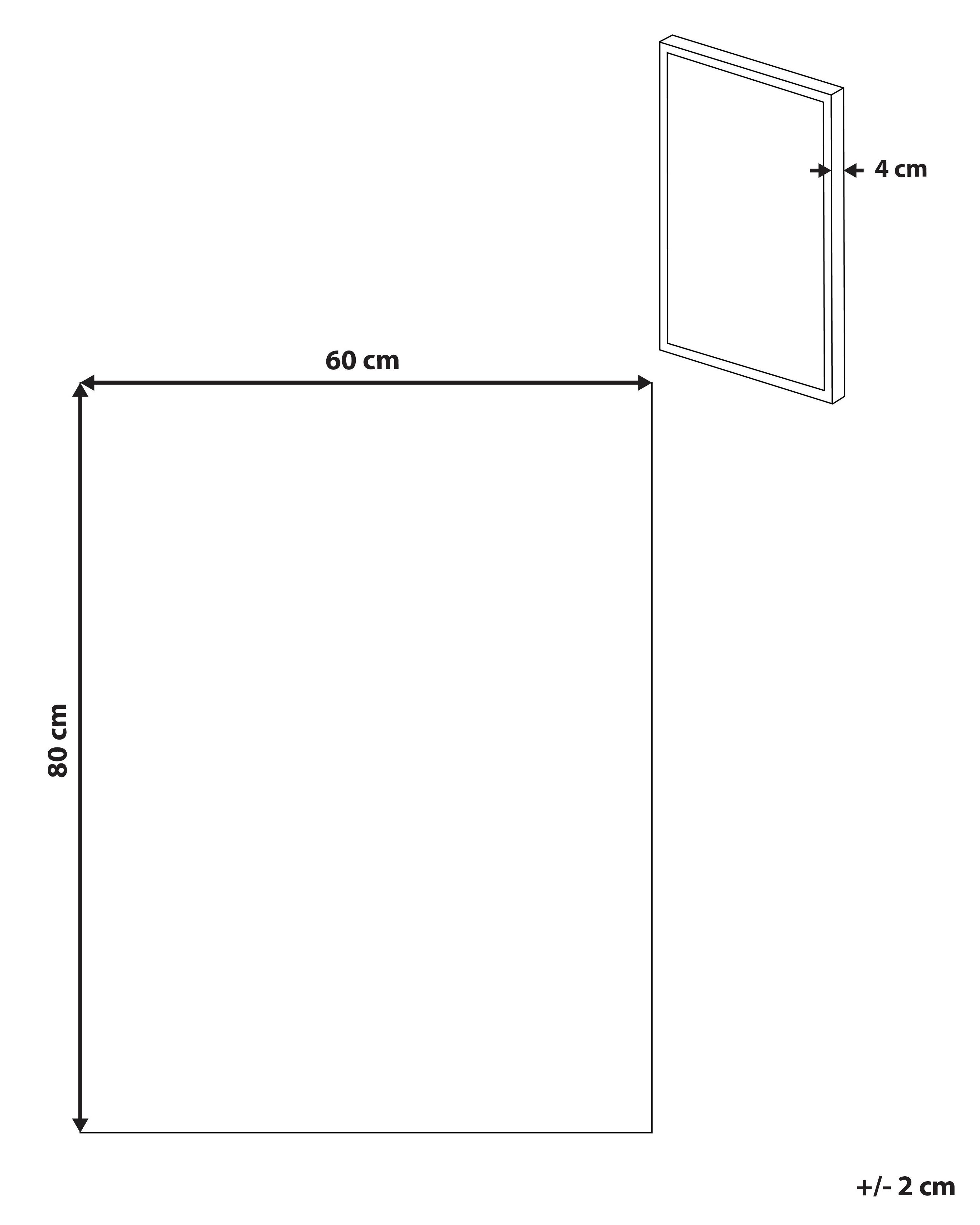 Canvas AFASSA Dieren motief 60 x 80 cm Roze