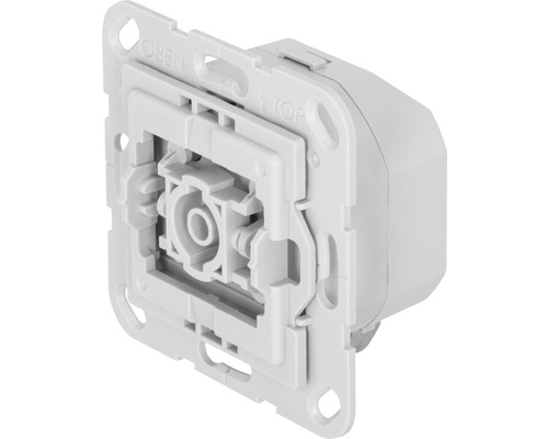 TechniSat dimmer-inzetstuk met repeaterfunctie geschikt voor Gira Systeem 55 - Compatibel met SMART HOME van hornbach
