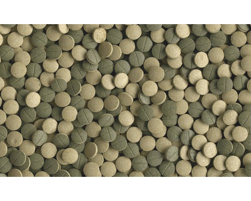 Tetra Pleco Tabletten XL, 133 tabletten