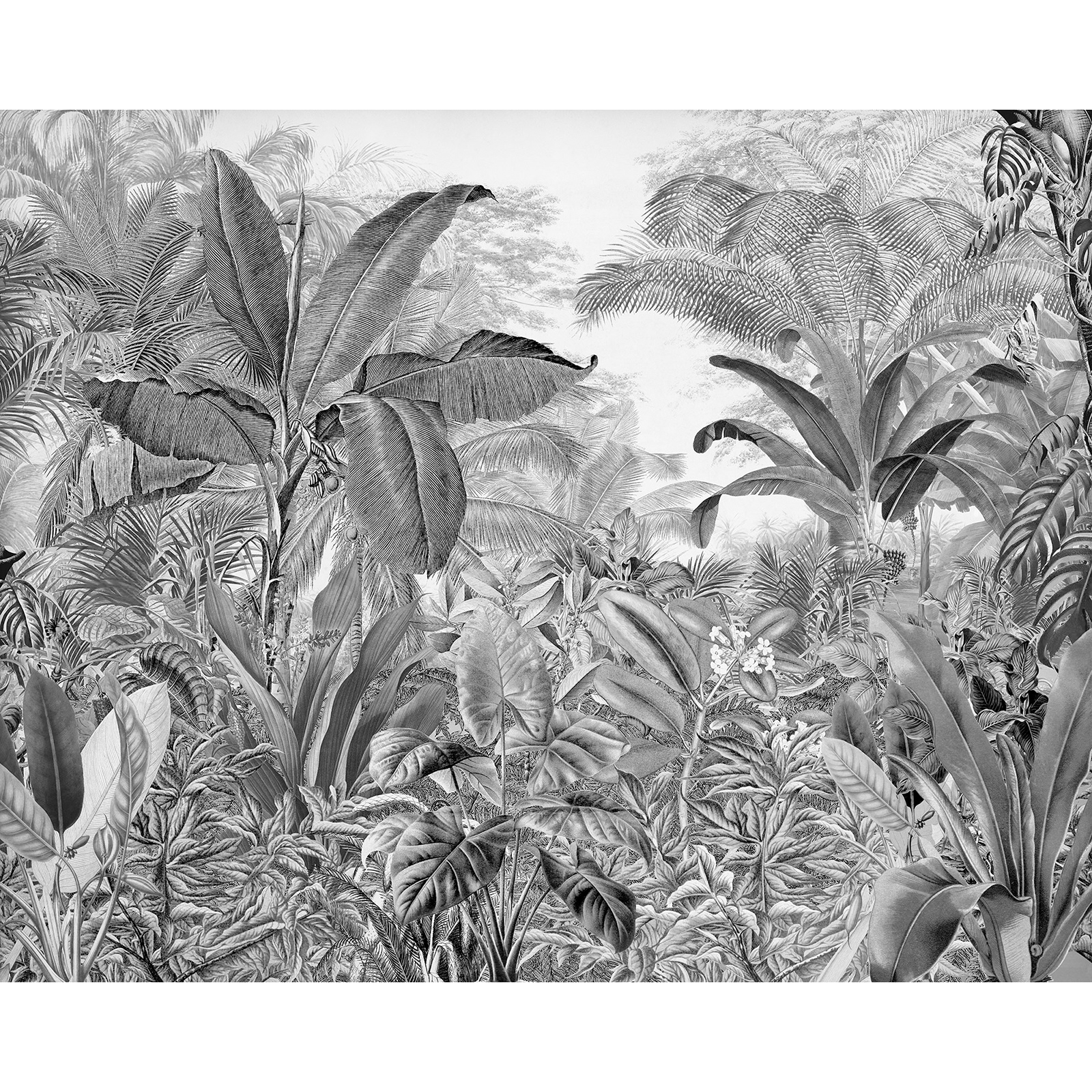 Vlies-Fototapete RORAIMA - schwarz-weiß - 350x280 cm