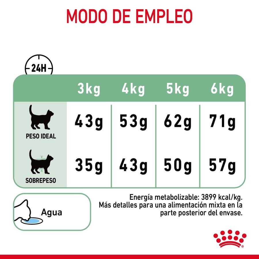 Ração Royal Canin Adult Digestive para gatos