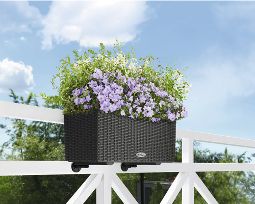 Lechuza Balconera Cottage plantenbak, kunststof, 50x19x19 cm, granieten afwerking, inclusief zelfbewateringssysteem en waterniveau-indicator.