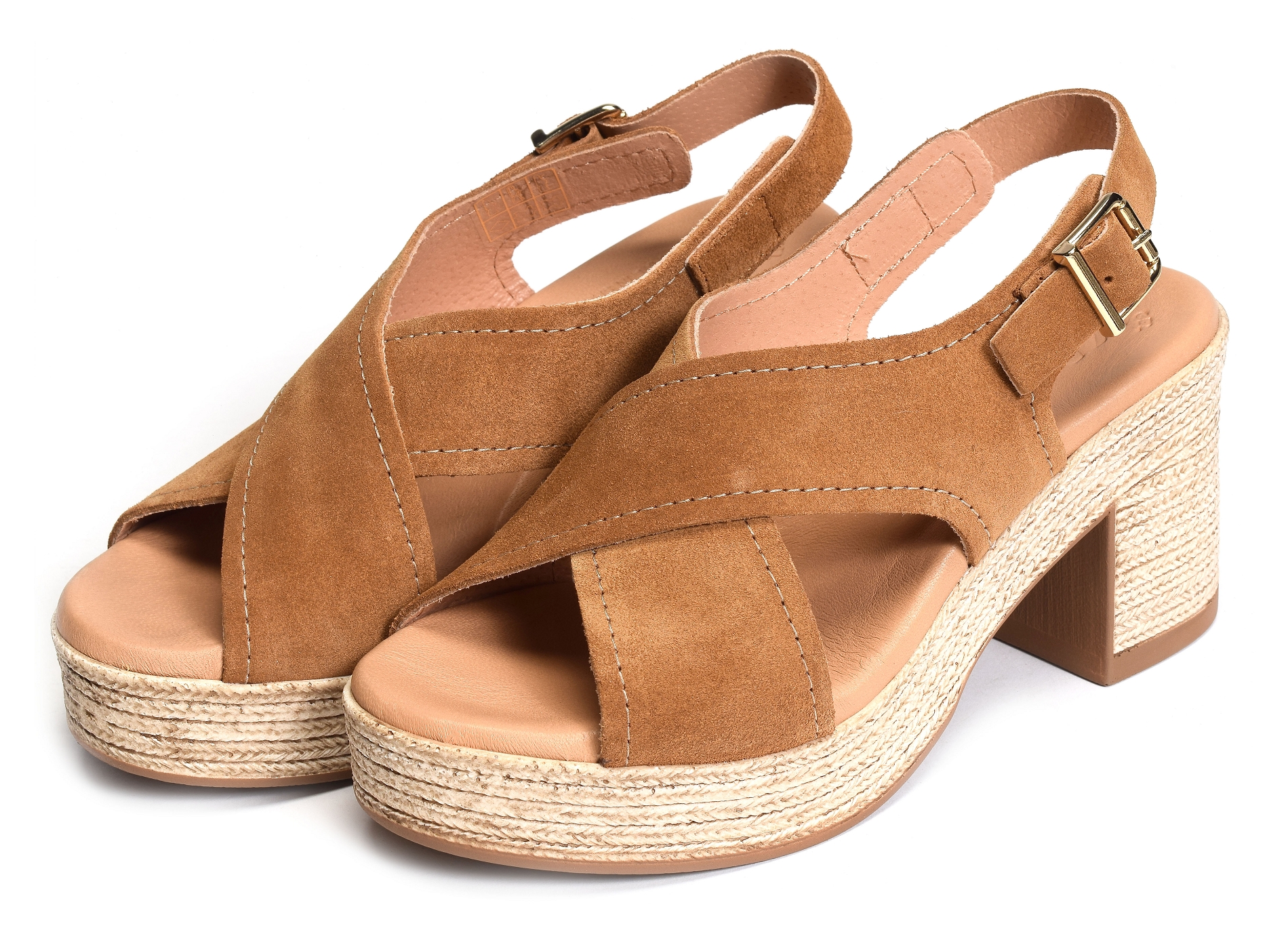 2504 camel