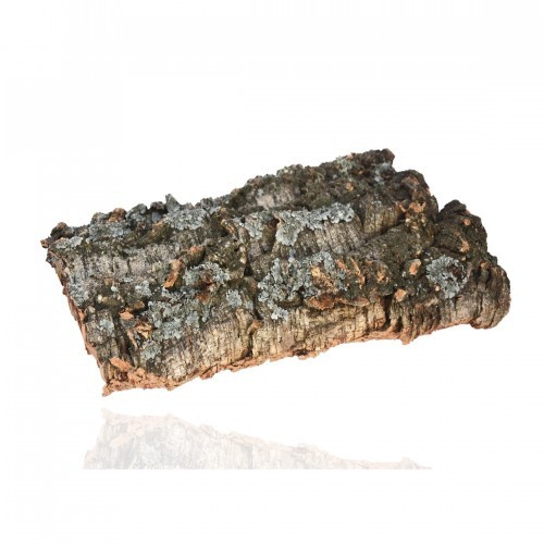 Cortiça natural para terrários e aquários.