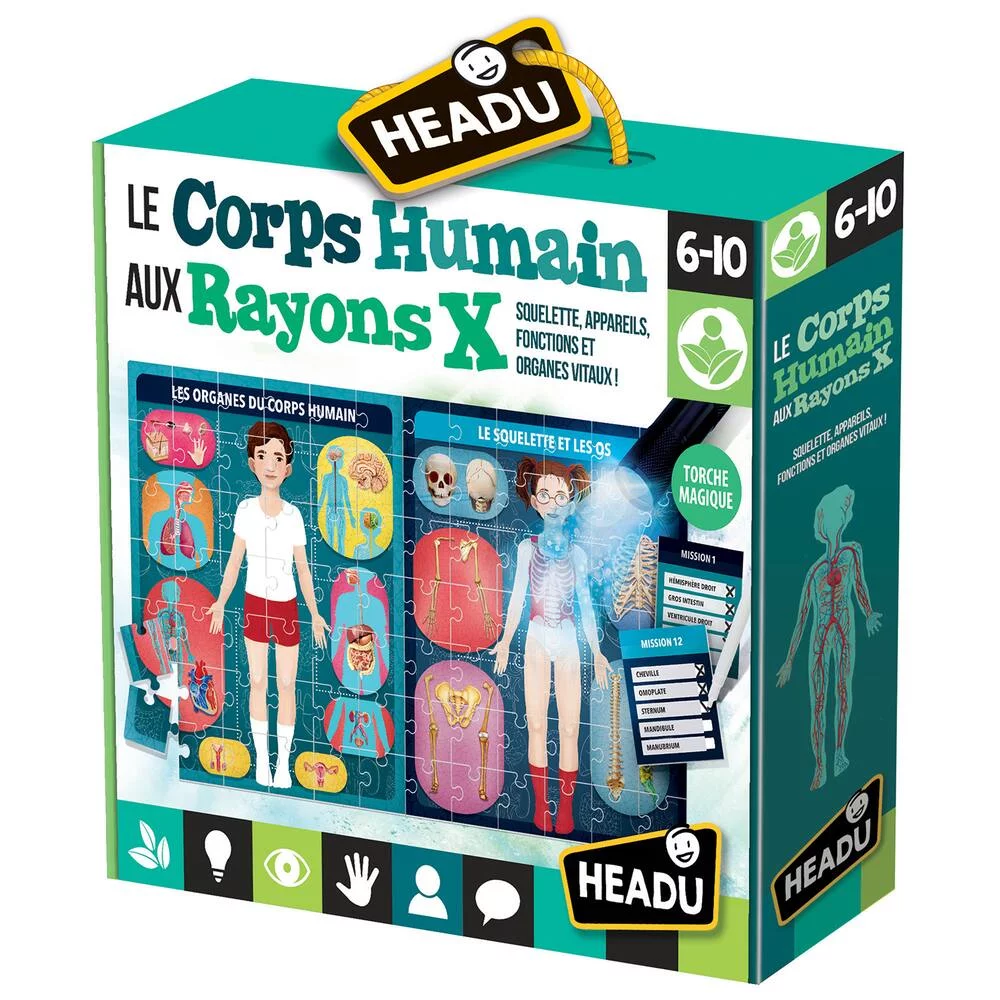 LE CORPS HUMAIN AUX RAYONS X