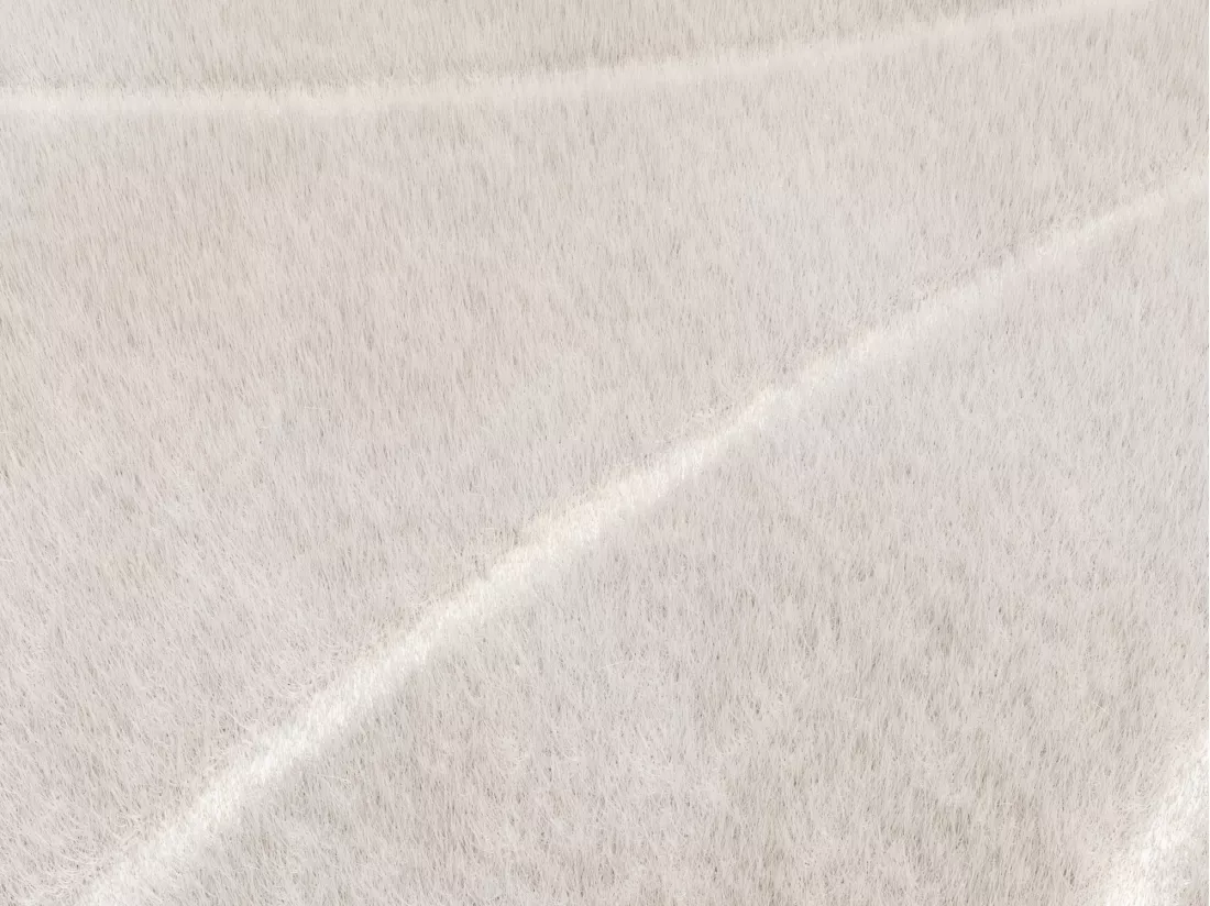Tapis effet fourrure en relief à motifs circulaires - 200 x 290 cm - Beige - PAOLISI