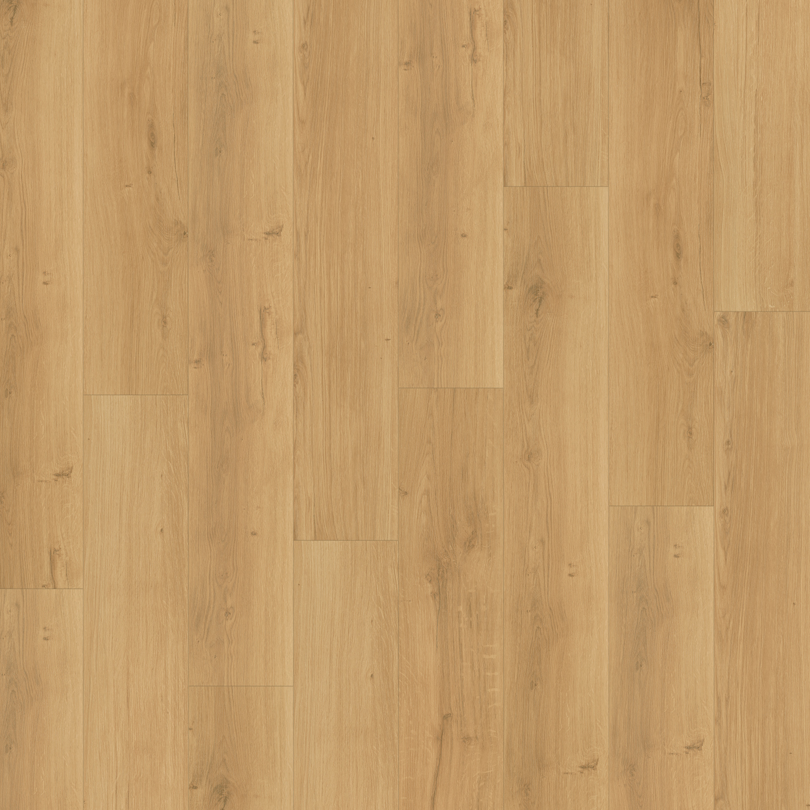 PARADOR Designboden MODULAR ONE - Eiche Spirit natur - 8 mm