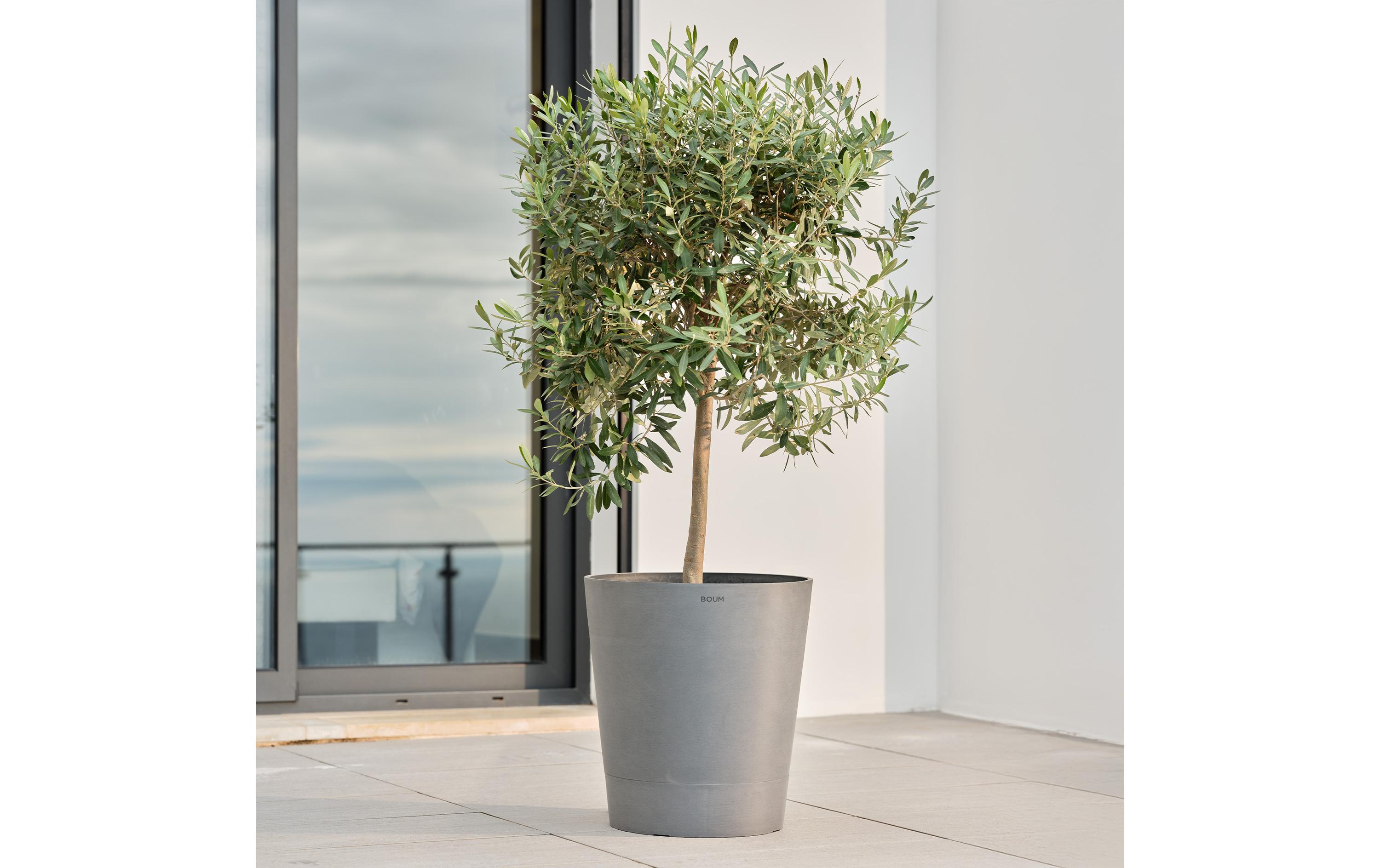 Pflanzentopf 30 L Pro Grau30 l Pflanztopf mit Dochtsystem