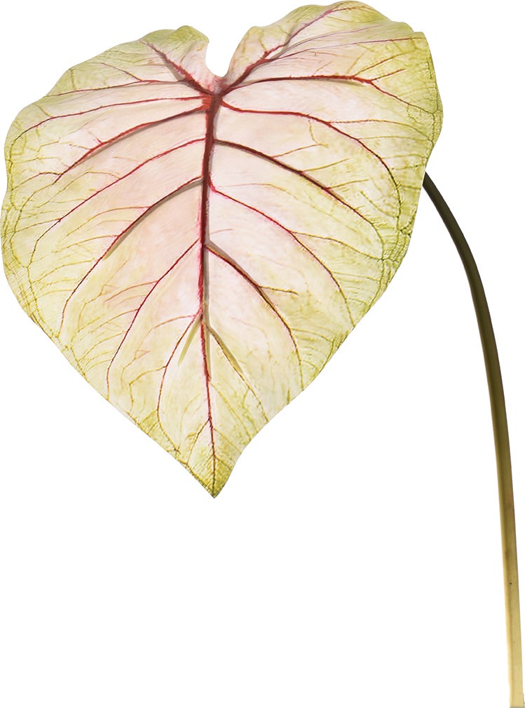 Jasaco kunsttak Caladium roze groen 113 cm