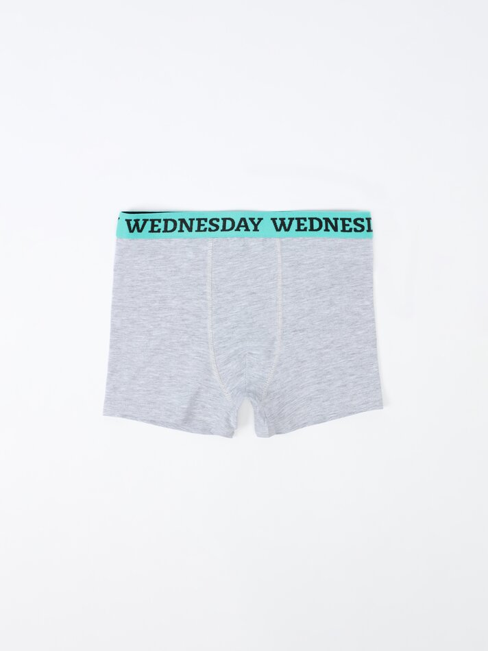 Pacote com 7 cuecas boxer para os dias da semana - Variadas