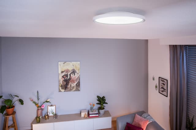 Philips Hue Aurelle Panel RD 24,5W