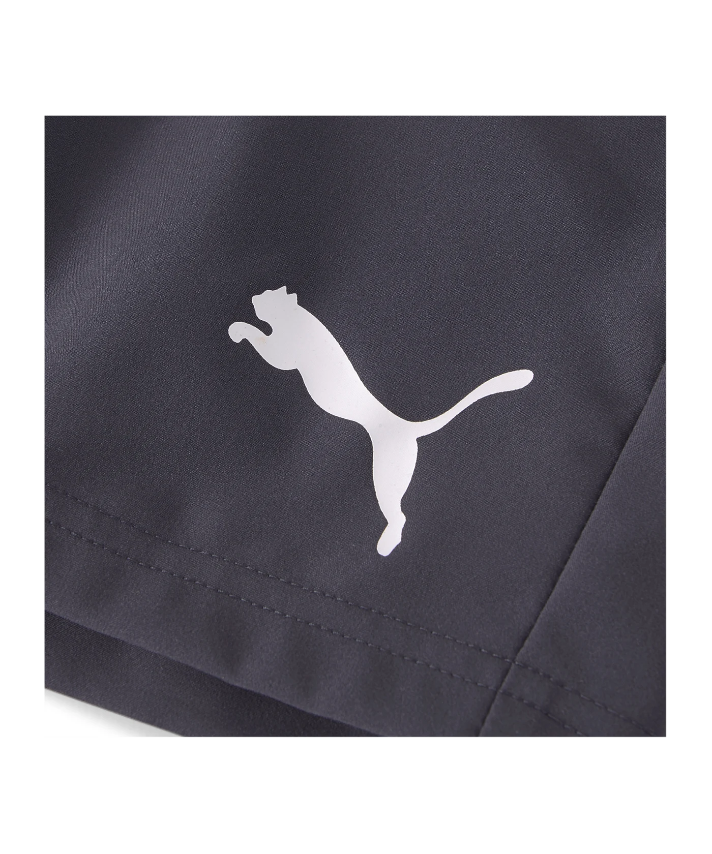 PUMA teamLIGA Multisport Short Blau F06