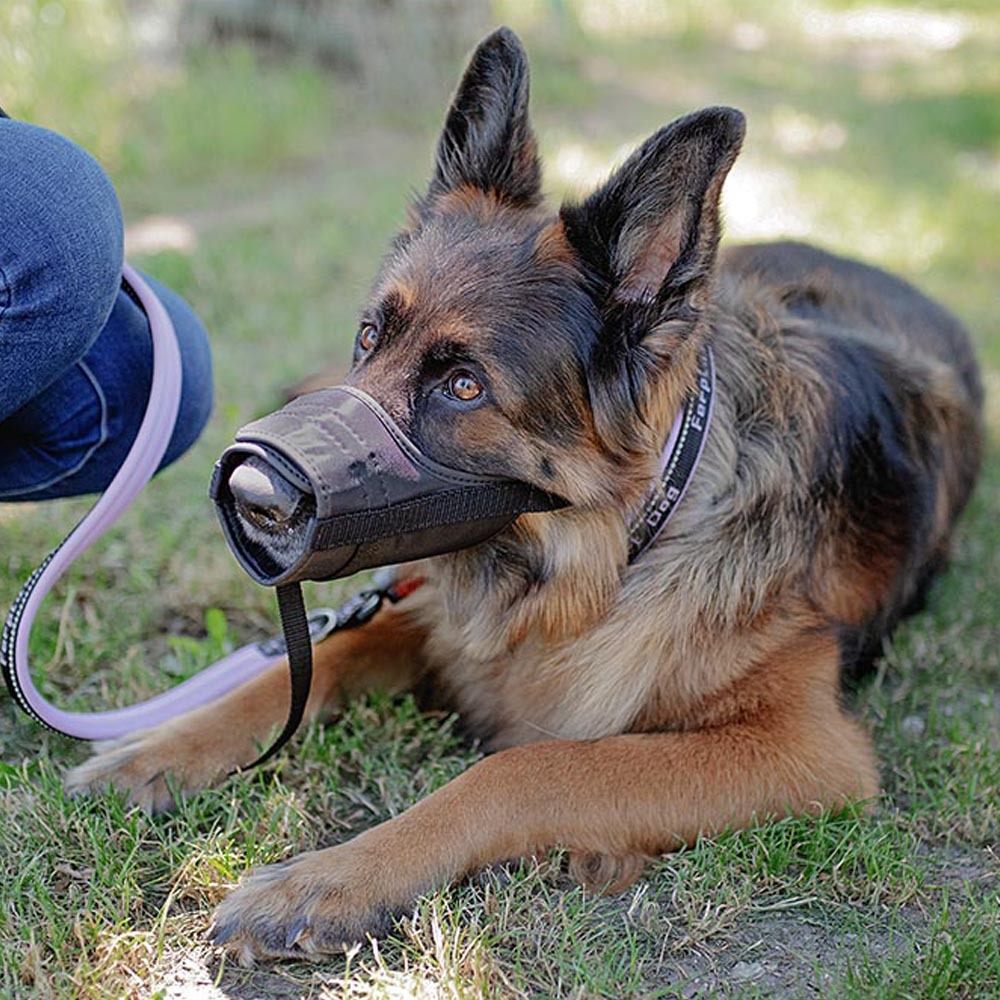 Ferplast muselière pour chiens de taille grande safe large anti-morsures, nylon robuste, partie antérieure ouverte, rembourrage