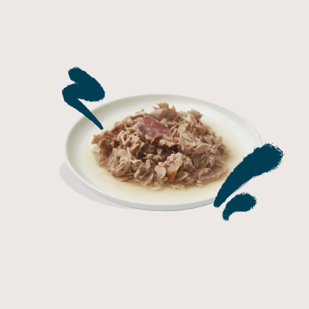 Edgard & Cooper Kattenvoer Fillets Tonijn - Inktvis70 gr