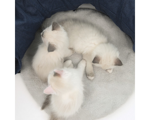 Kattenspeeltje, kattentunnel Catit 79 x 68 x 28 cm blauw