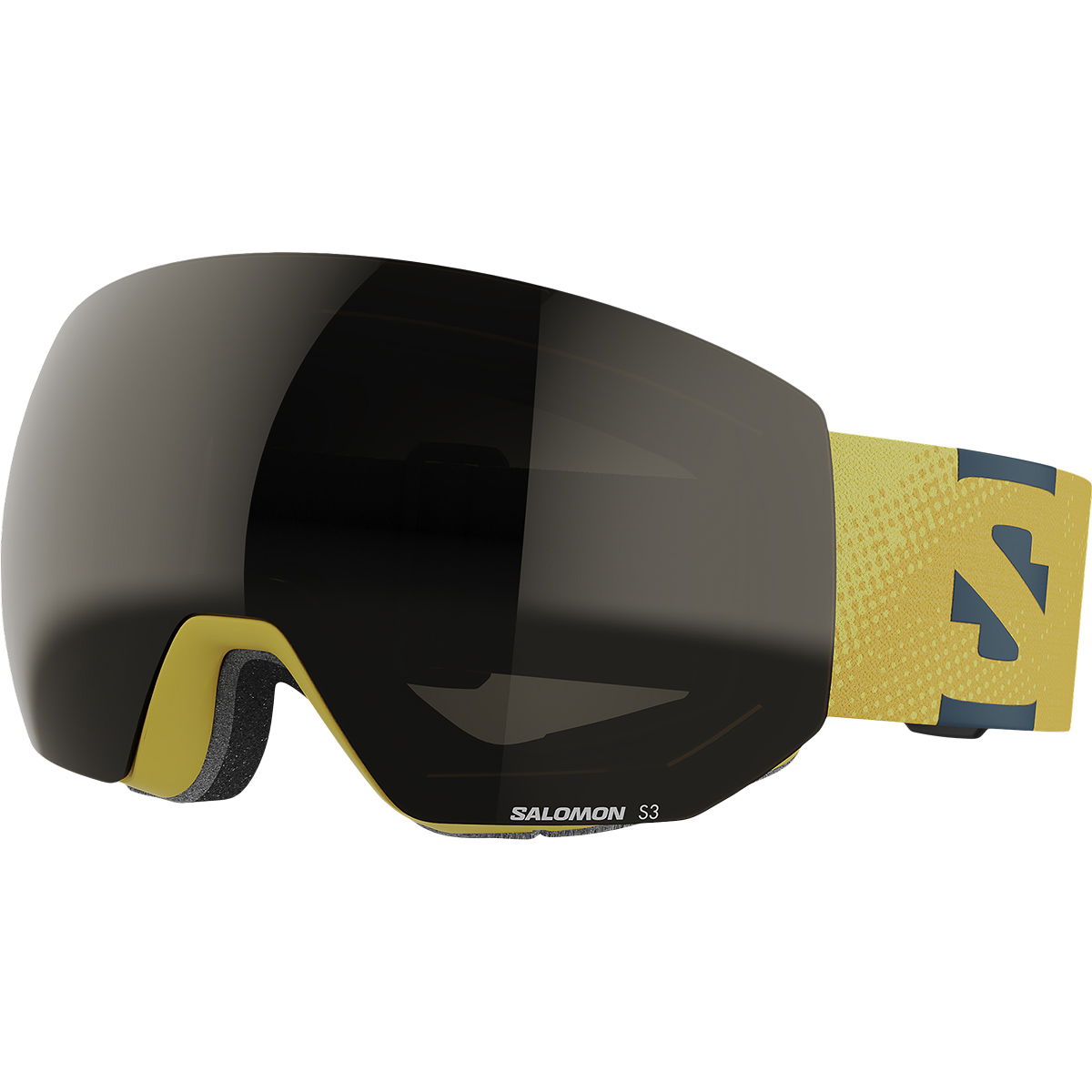 Salomon Radium Pro Skibriller