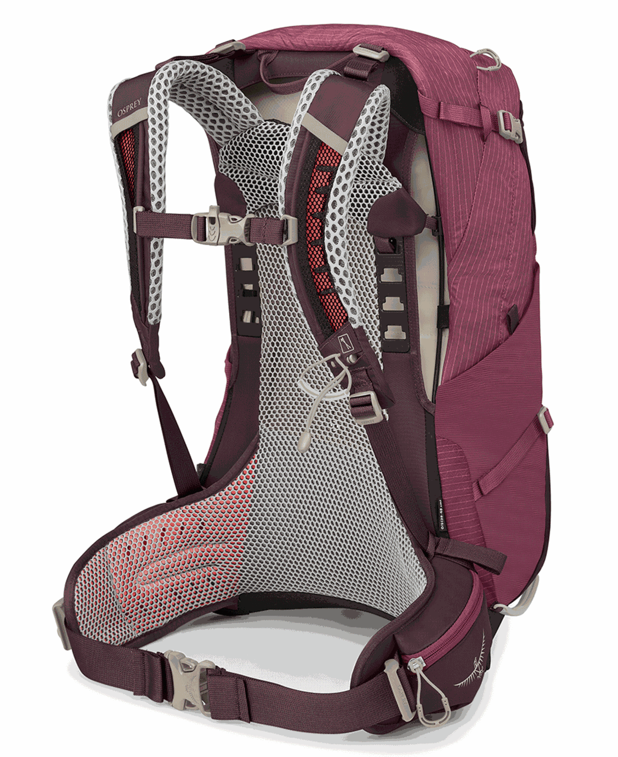 Osprey<br>Sirrus 24