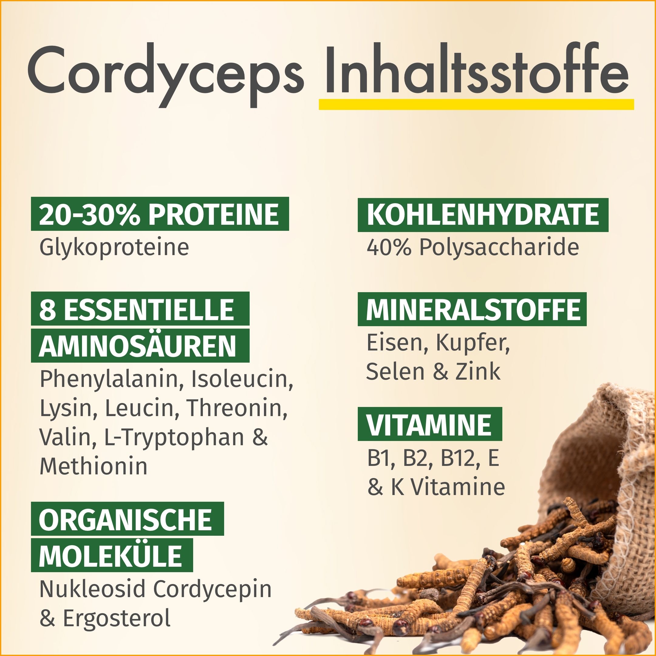 GREEN NATURALS Cordyceps mg sinensis hochdosiert vegan