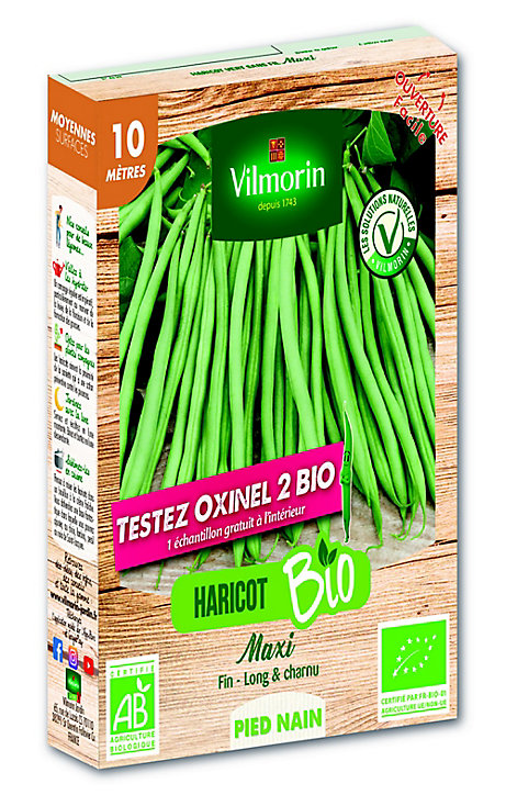 Graines de Haricot Nain Maxi 10m