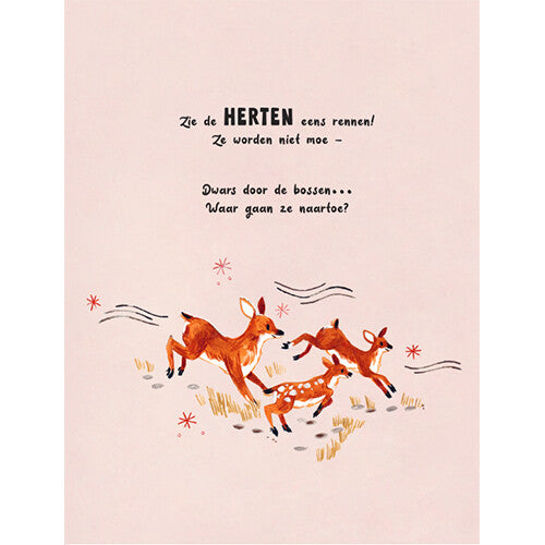 Uitgeverij christofoor een woud vol wonderen