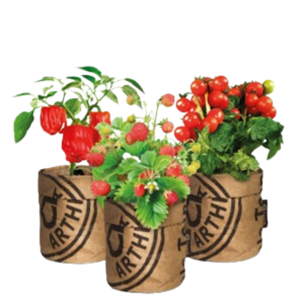 Baza Moestuin Kweek Pakket